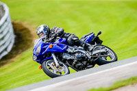 PJ-Motorsport-2019;anglesey;brands-hatch;cadwell-park;croft;donington-park;enduro-digital-images;event-digital-images;eventdigitalimages;mallory;no-limits;oulton-park;peter-wileman-photography;racing-digital-images;silverstone;snetterton;trackday-digital-images;trackday-photos;vmcc-banbury-run;welsh-2-day-enduro